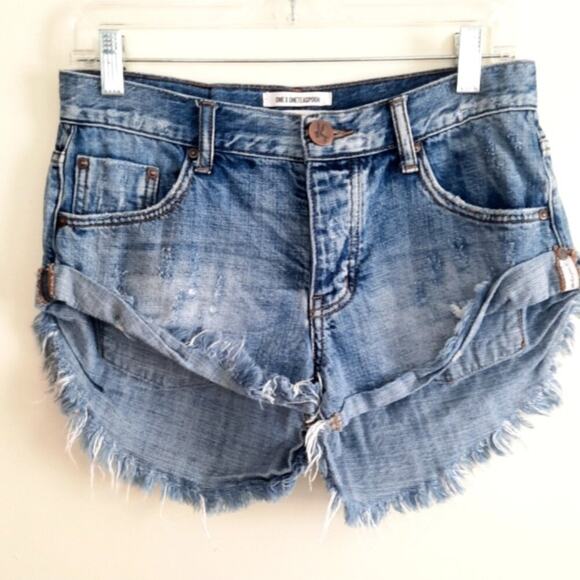 One x One Teaspoon Bandits Button Fly Denim Jean Shorts Distressed Size 26 - Picture 1 of 9